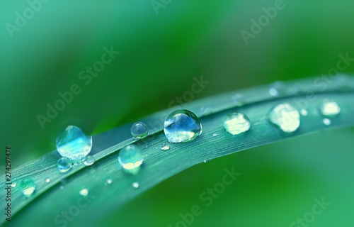 Fotografia beautiful dew drops on green grass leaf