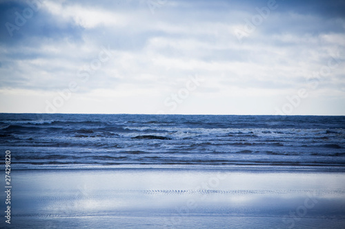 A monochromatic view of the Pacific Ocean at the Olympic National Park in Washington.      photo