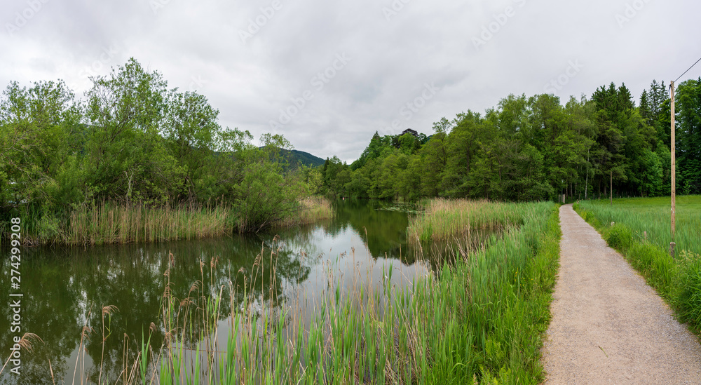 Ufer mit Schilf am bewölkten Schliersee Panorama Ufer mit Schilf am bewölkten Schliersee Panorama