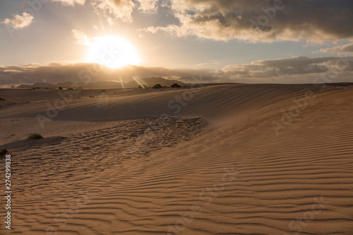 Evening light creating beautiful textures and patterns in the sand in the natural park Corralejo Fuerteventura Canary Islands Spain