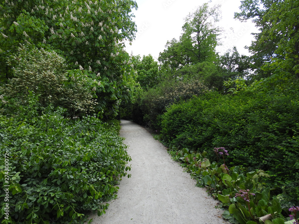 The path in the park