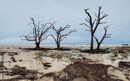 Botany Bay beach panorama at cloudy day, Edisto Island, South Carolina, USA photo