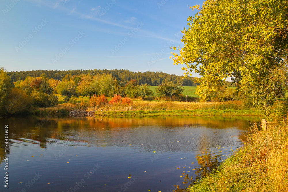 Colorful autumn nature at pond. Czech republic