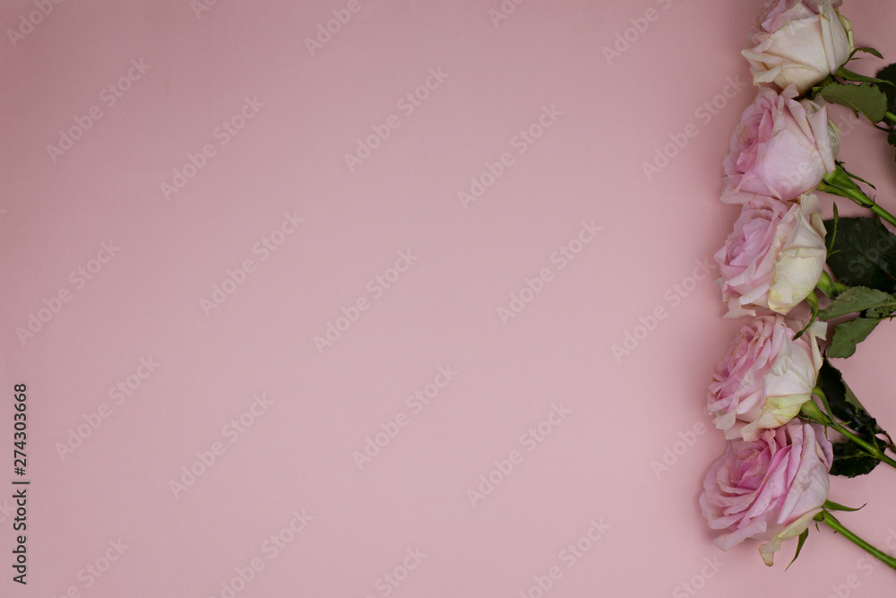 Light pink desktop flat photo with roses for a blog header or a post on social networks