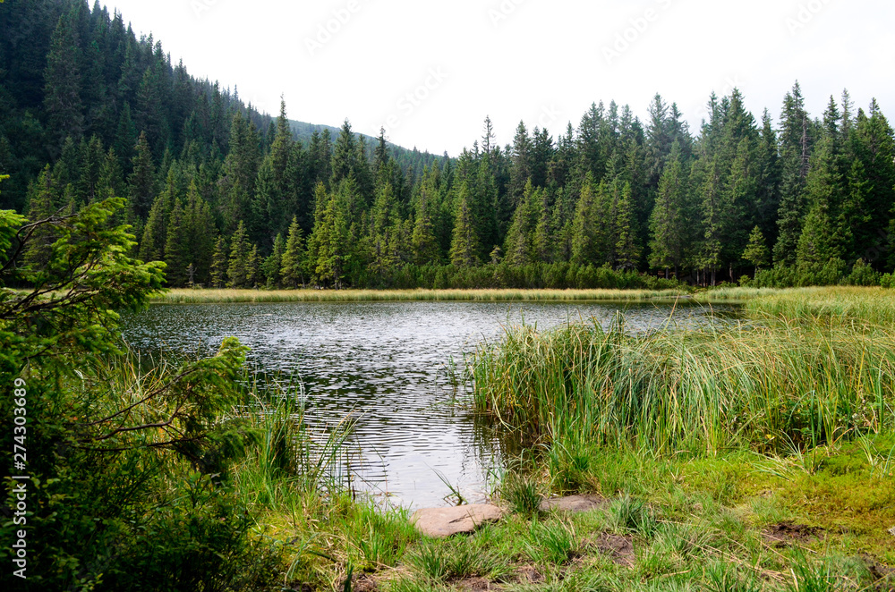 A mountain lake. Fog in mountains, fantastic morning foggy scenery, hills covered beech forest, Ukraine, Carpathians, discover yourself wonderful place