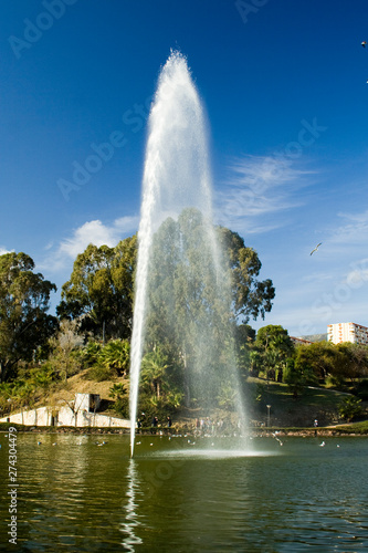 Fountain jet with an approaching seagull in Malaga (Spain)