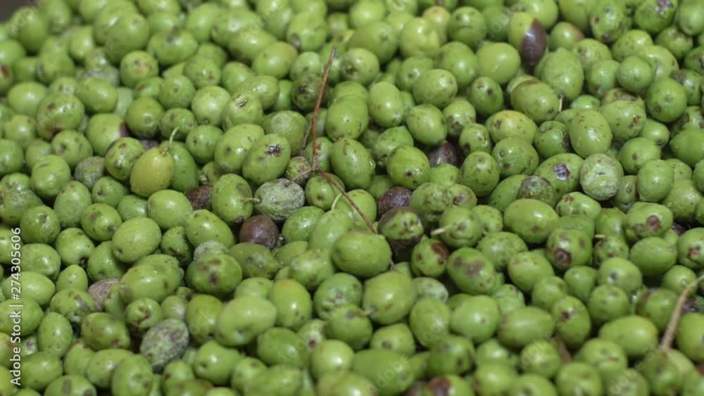 Mill, Production, food. Processing olives, making Olive Oil Mill, Production, food. Processing olives, making Olive Oil