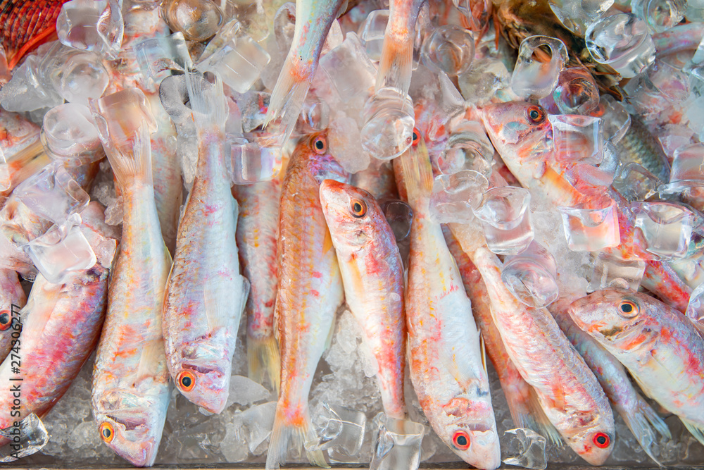 Fresh and raw red mullet fishes on ice. Seafood on ice at Fish Market. 