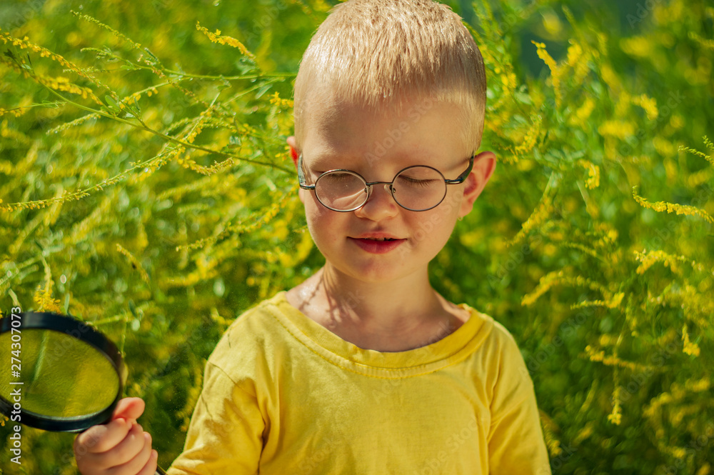 © galitsin - Portrait of charming boy in yellow T-shirt and glasses against background of green flowering bush. child examines flowers through magnifying glass. Spring floral background. soft lens © galitsin - Portrait of charming boy in yellow T-shirt and glasses against background of green flowering bush. child examines flowers through magnifying glass. Spring floral background. soft lens