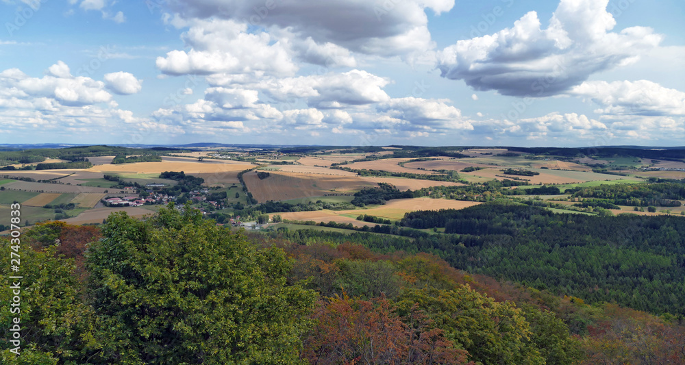 Fototapeta premium Summer landscape in sunny day. Rural countryside.