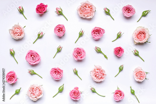 Photos Flower pattern: flowers and rosebuds on a white background