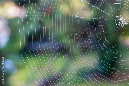 Close up part of white spiderweb hanging outdoors for natural background