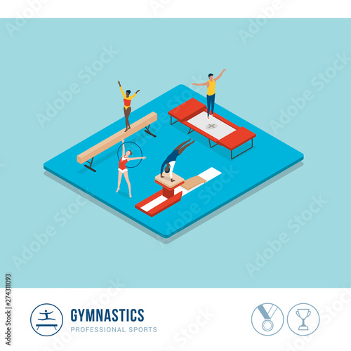 Professional sports competition: gymnastics