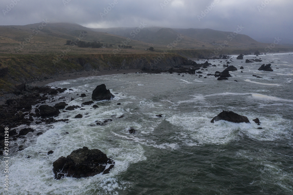 Fototapeta premium The cold, nutrient-rich waters of the Pacific Ocean wash against the rugged yet scenic coastline of Northern California. This area is easily accessible from the famous California route 1.