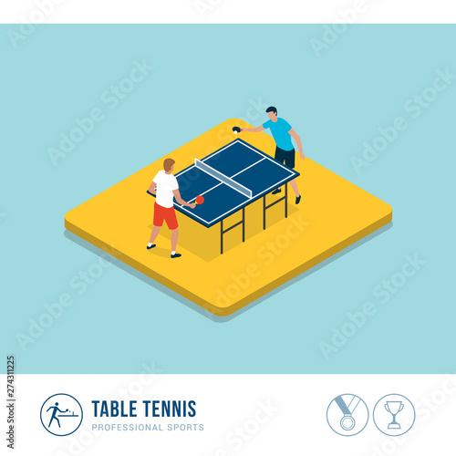 Professional sports competition: table tennis