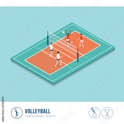 Professional sports competition: volleyball