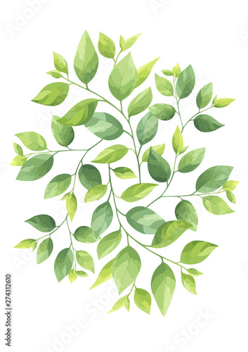 Green leaves geometric frame template. Foliage border. Vector illustration.