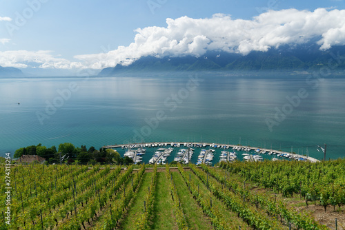 Le Lavaux