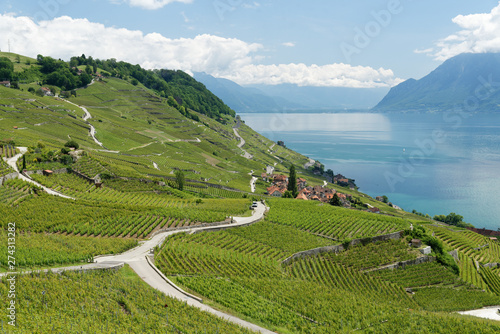 Le Lavaux