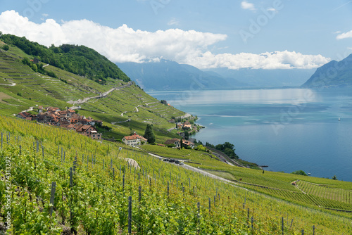 Le Lavaux