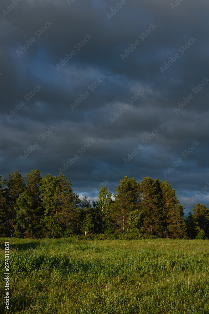 Dramatic sunset on the summer field. Dramatic sunset on the summer field.