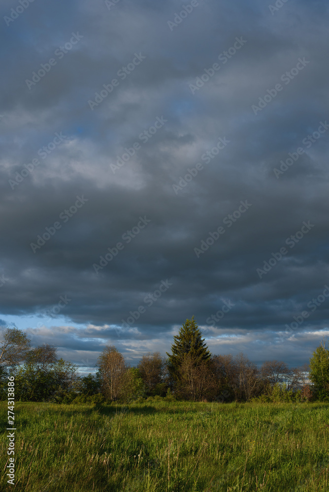Obraz premium Dramatic sunset on the summer field.