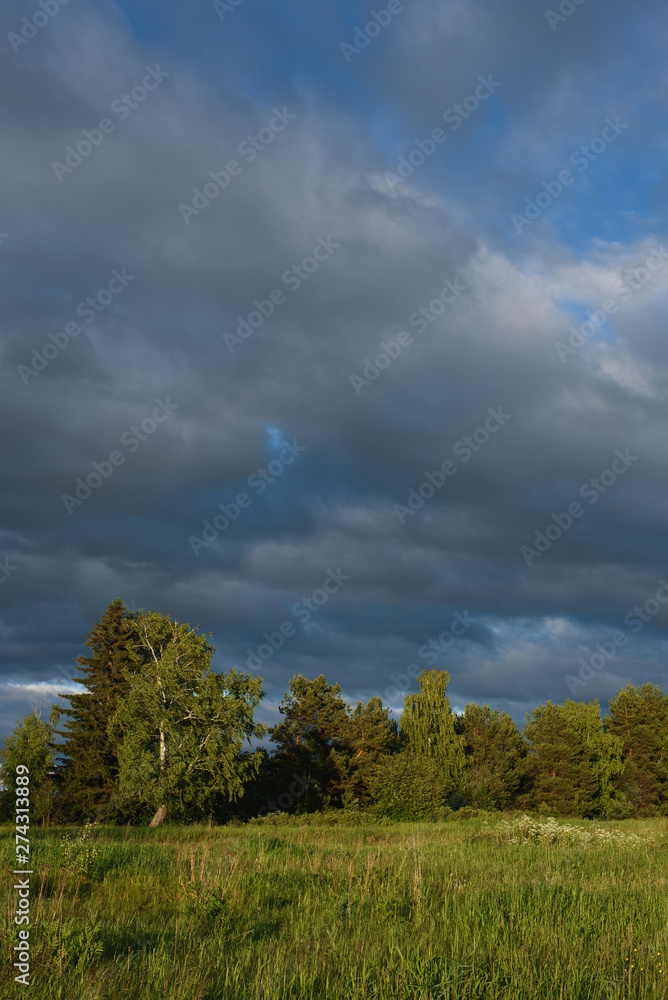 Dramatic sunset on the summer field. Dramatic sunset on the summer field.