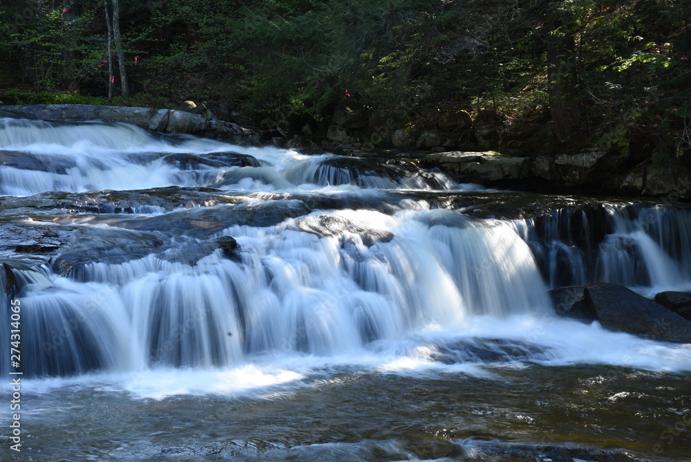 Fototapeta premium wodospad w lesie