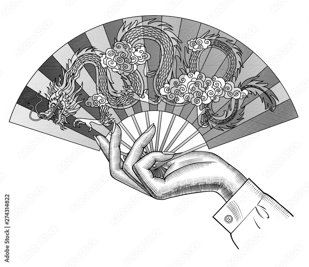 Female hand holding a Chinese fan with decorative gragon isolated on white  Stock Vector | Adobe Stock