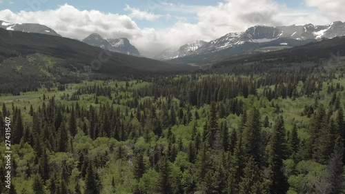 Reverse backwards tracking shot through vast valley forest with glacier mountain peaks in background in perfect sunny day