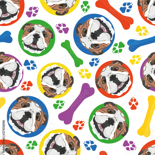 Bunt und verspielt Englische Bulldogge