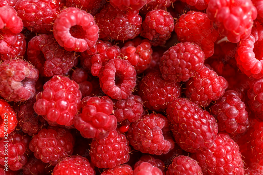 Fresh organic raspberries background, macro photo. Raspberry fruit background or texture. Fresh organic raspberries background, macro photo. Raspberry fruit background or texture.