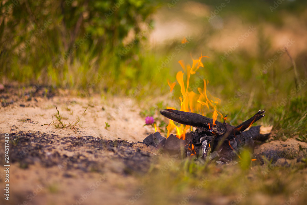 Obraz premium Fire in the forest. Bonfire barbeque on camping