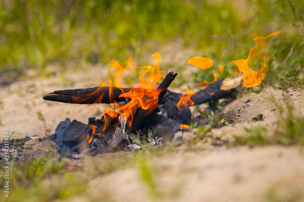Fire in the forest. Bonfire barbeque on camping Fire in the forest. Bonfire barbeque on camping