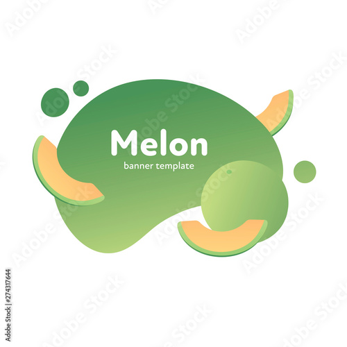 Vector fruit modern fluid banner. Colorful organic green melon on splash shape frame isolated on white background. Design illustration for web eco poster, vegetarian menu, backdrop, poster, card