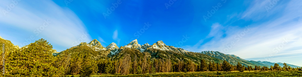 Panorama of Mountain Range with Clouds, trees