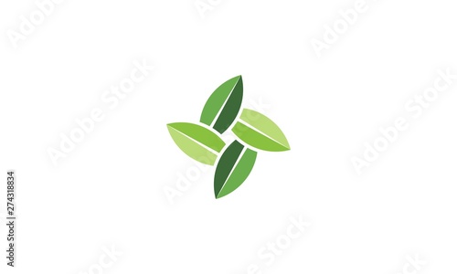 s leaf green logo