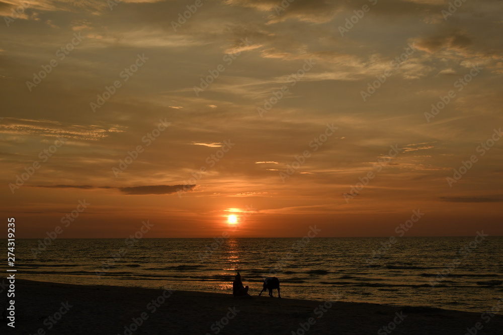 A dog owner at sunset on the beach of Debki