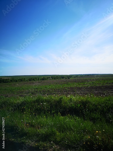 landscape with green field and blue sky