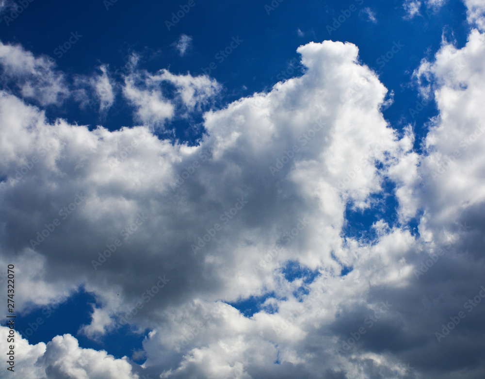 Fototapeta premium sky and clouds