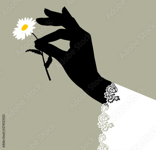 Black silhouette of female hand give a chamomile flower