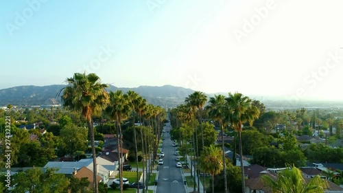 Amazing drone pedestal up sunset view of Glendale, Los Angeles tall palm tree street - 4K UHD