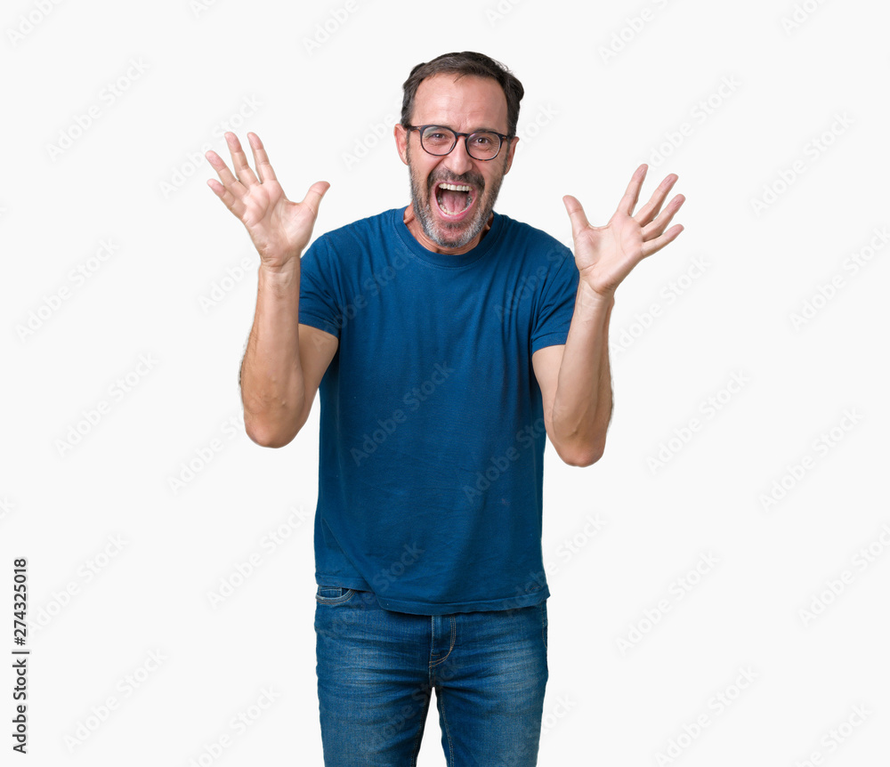 Handsome middle age hoary senior man wearin glasses over isolated background celebrating crazy and amazed for success with arms raised and open eyes screaming excited. Winner concept Handsome middle age hoary senior man wearin glasses over isolated background celebrating crazy and amazed for success with arms raised and open eyes screaming excited. Winner concept