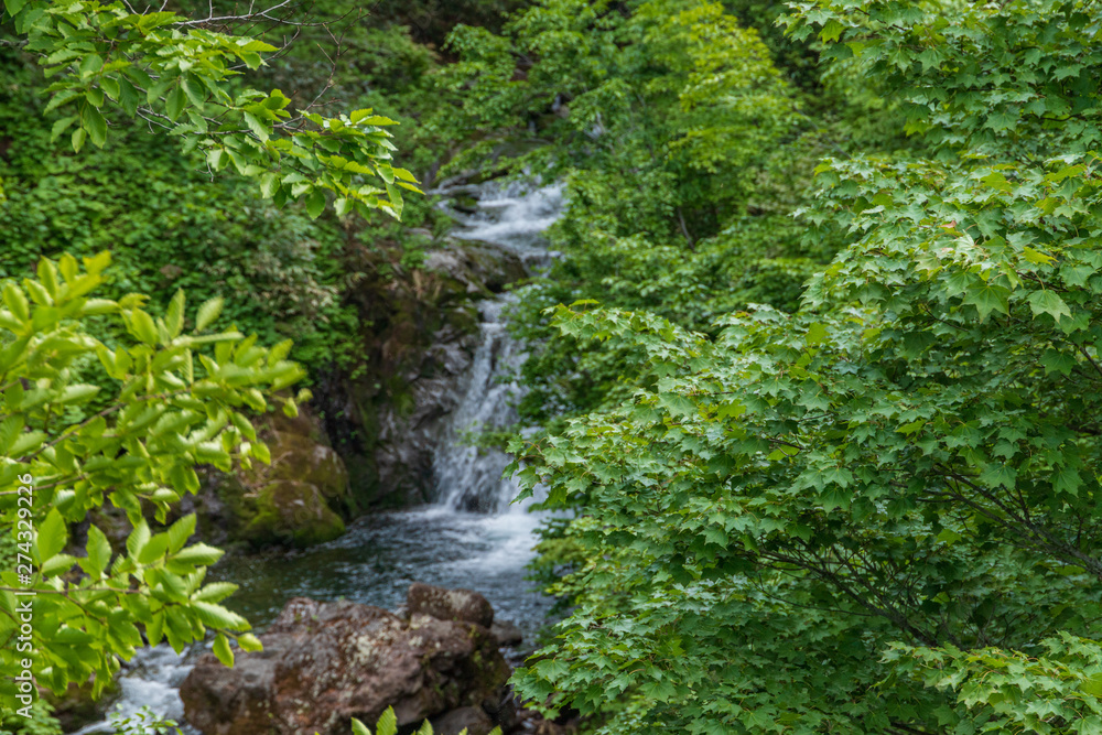 Towada Hachimantai National Park, Hachimantai