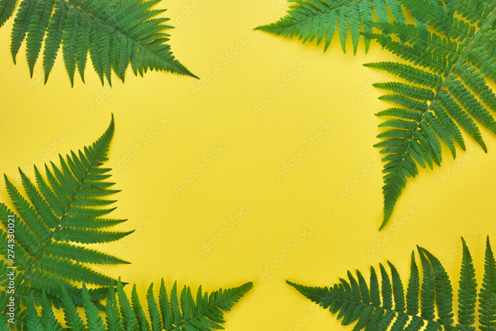 Border of fern leaves on yellow. Top view with copy space. midsummer background