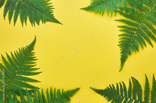 Border of fern leaves on yellow. Top view with copy space. midsummer background