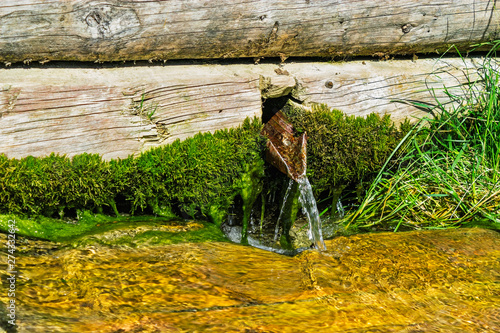 rill in the countryside on a sunny summer day