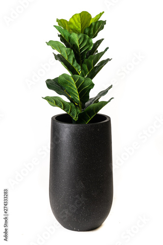 fiber pots with fake plant ,Modern Cement pots with plants , Modern flowerpot