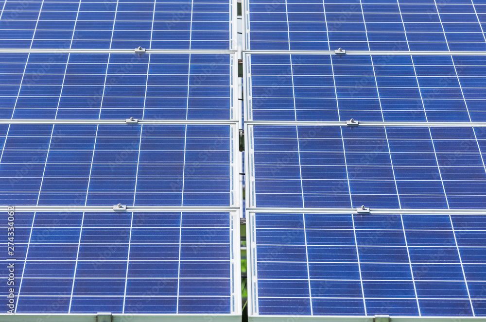 custom made wallpaper toronto digitalClose up rows array of polycrystalline silicon solar cells or photovoltaic cells in solar power plant turn up skyward absorb the sunlight from the sun