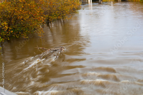 Olentangy River in Autumn, Worthington, Ohio photo